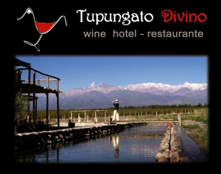 Tupungato Divino 2