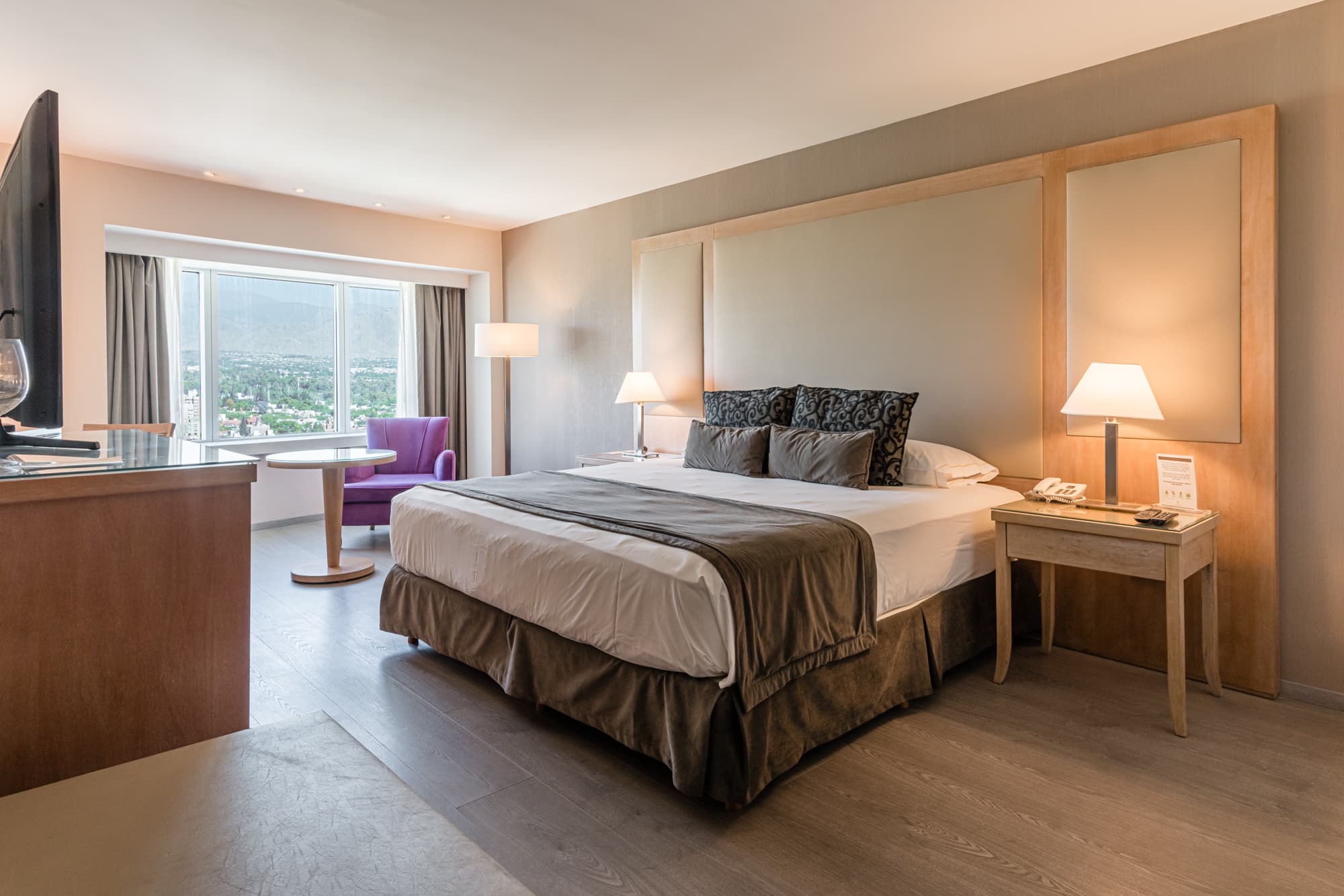 Diplomatic Hotel 2
